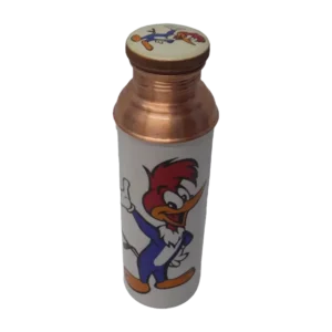 Duck Cartoon Copper Water Bottle