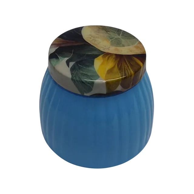 decorative round metal dryfruit jar with printed lid